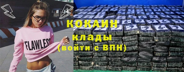 ПСИЛОЦИБИНОВЫЕ ГРИБЫ Лихославль