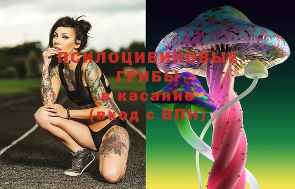 герыч Липки
