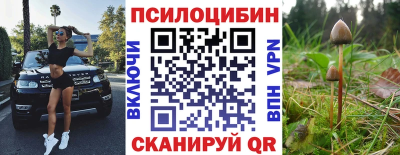 Купить закладки  Углегорск  Галлюциногенные грибы мухоморы 